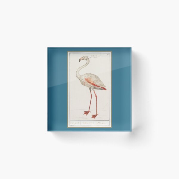 Item preview, Vintage Flamingo Illustration - Antique Naturalist Wildlife Study designed and sold by NaturaliaStudio.