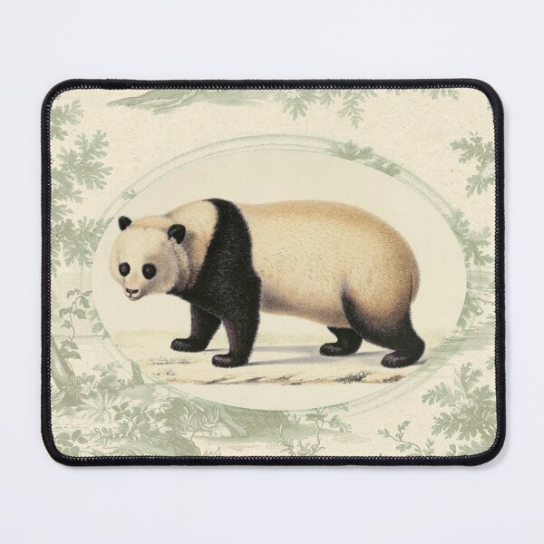 Item preview, Vintage Giant Panda Illustration in Antique Naturalist Style designed and sold by NaturaliaStudio.