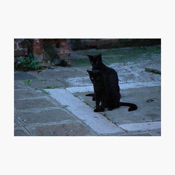 Two Photographic Print