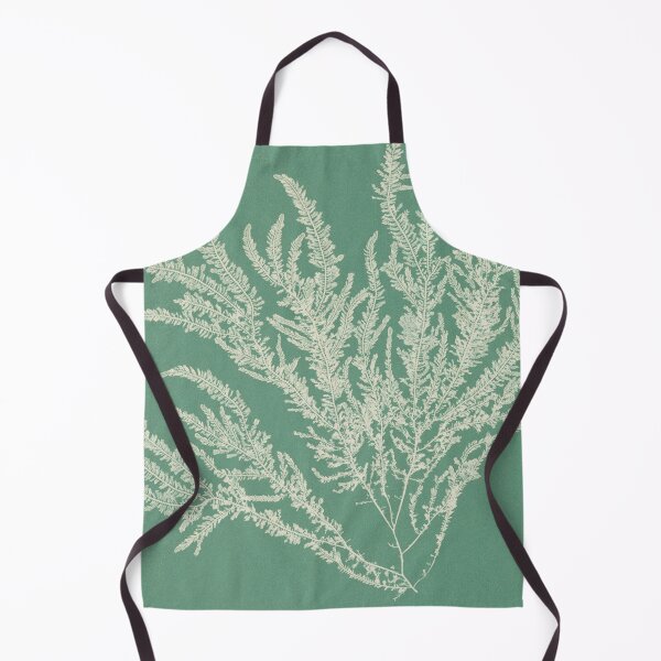 Item preview, Vintage Cyanotype Seaweed Botanical - Antique Ptilota Sericea Study designed and sold by NaturaliaAbstracta.