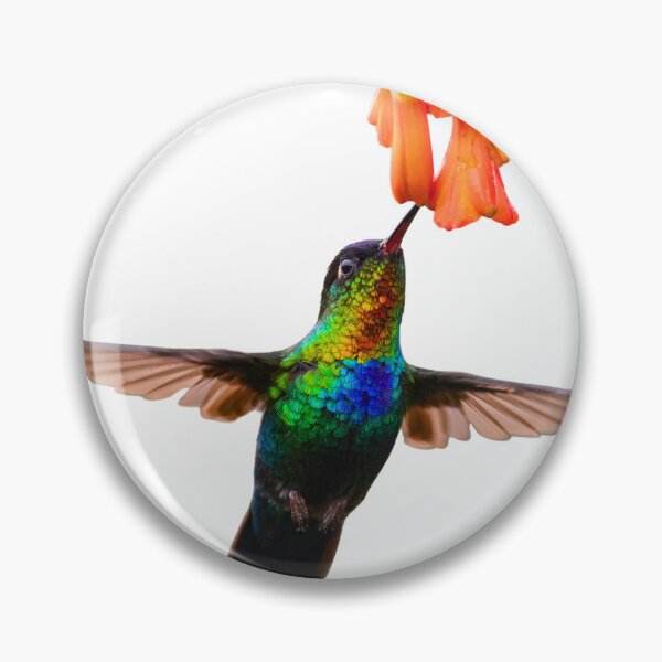 Item preview, Fiery Throated Hummingbird Botanical Bird Lover designed and sold by julyperson.