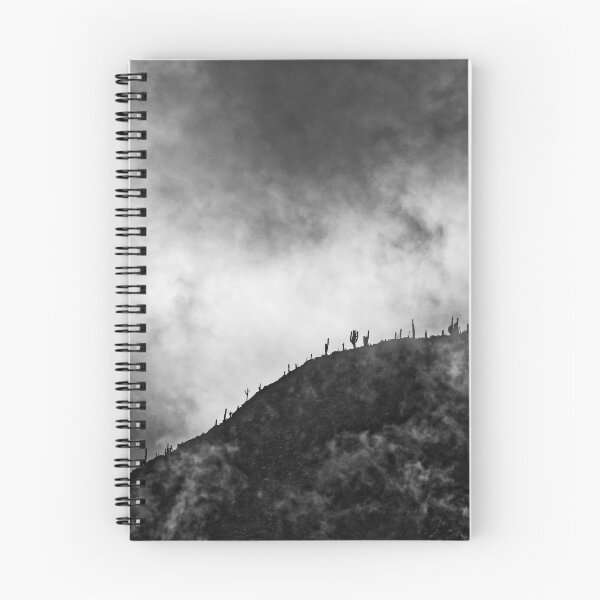 Item preview, Quebrada Humahuaca Cactus Black White Photo Argentina Poster Gift designed and sold by Keltoi-art.