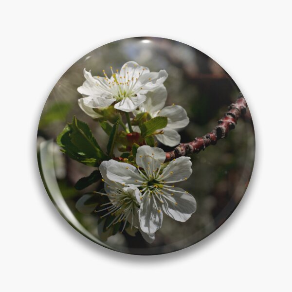 Item preview, Cherry Blossom Light designed and sold by LeoGurl.