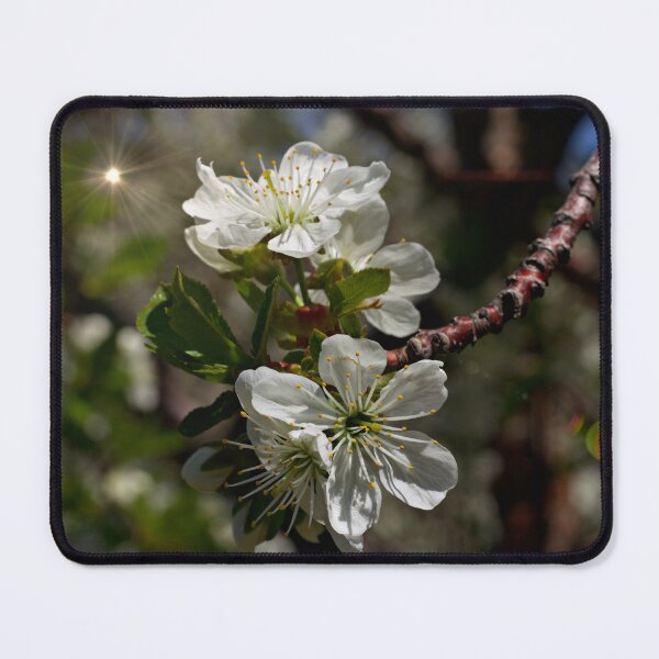 Item preview, Cherry Blossom Light designed and sold by LeoGurl.