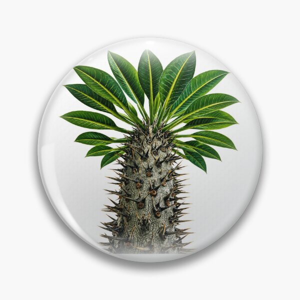 Item preview, Spiky Madagascar Palm Plant designed and sold by ytist.