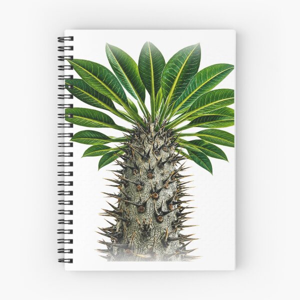 Item preview, Spiky Madagascar Palm Plant designed and sold by ytist.