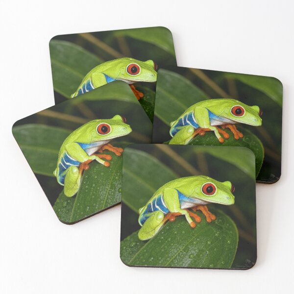 Item preview, Red-eyed tree frog – Agalychnis callidryas designed and sold by WildCosmos.