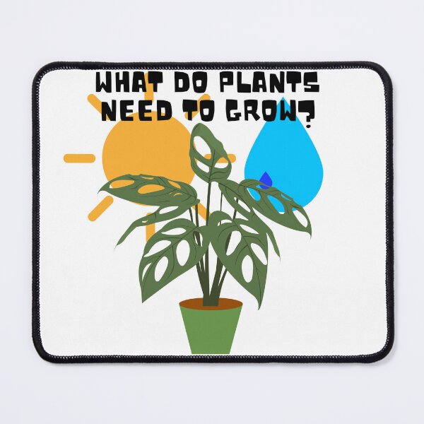 Item preview, What do plants need to grow? designed and sold by PlantSholic.