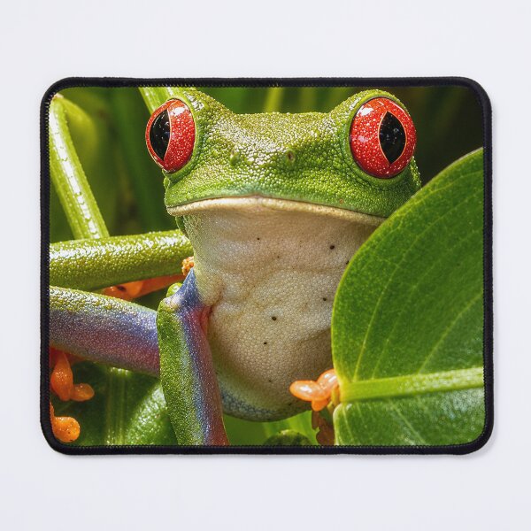Item preview, Red-eyed tree frog designed and sold by WildCosmos.