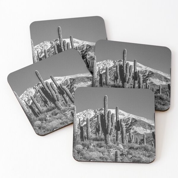 Item preview, Cardons Las Pailas Cachi Salta Argentina Cactus B&W Poster Photo designed and sold by Keltoi-art.