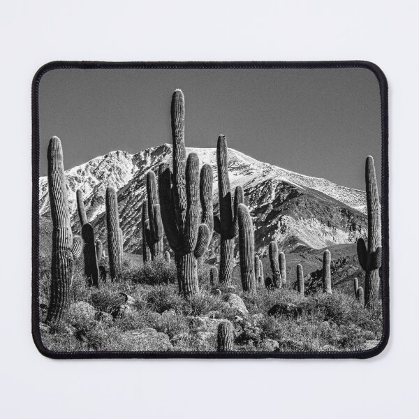 Item preview, Cardons Las Pailas Cachi Salta Argentina Cactus B&W Poster Photo designed and sold by Keltoi-art.