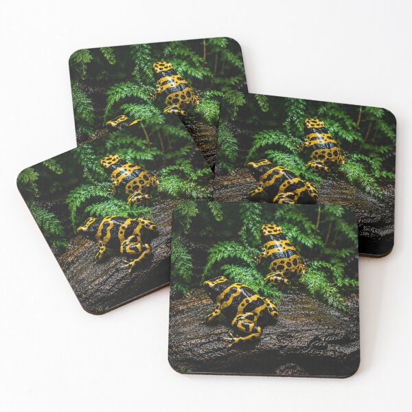 Item preview, dendrobates leucomelas designed and sold by WildCosmos.