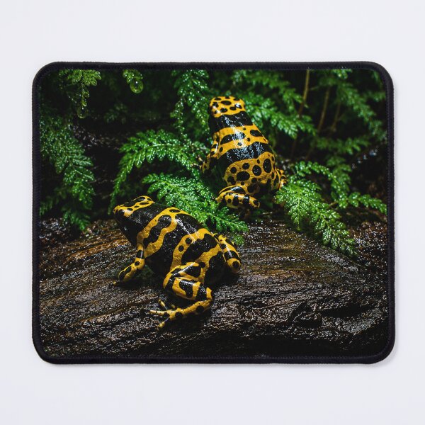 Item preview, dendrobates leucomelas designed and sold by WildCosmos.