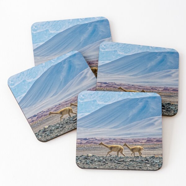 Item preview, Wild Vicuñas Puna Argentina Andes Wildlife Animal Photo T-Shirt designed and sold by Keltoi-art.