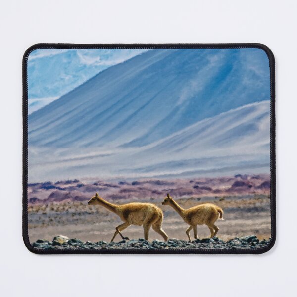 Item preview, Wild Vicuñas Puna Argentina Andes Wildlife Animal Photo T-Shirt designed and sold by Keltoi-art.