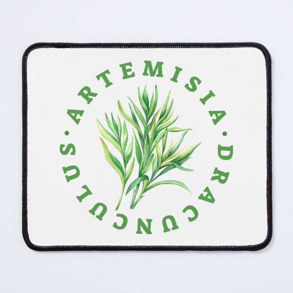 Item preview, Artemisia Dracunculus (Tarragon) Circular Illustration designed and sold by The Green Shop.
