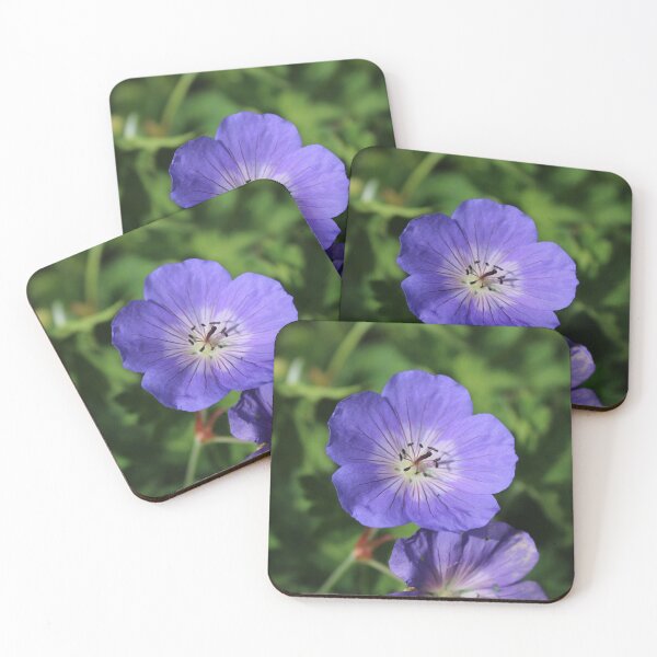 Item preview, Blue geranium close-up - Soft nature photography designed and sold by Cha-s-lens.