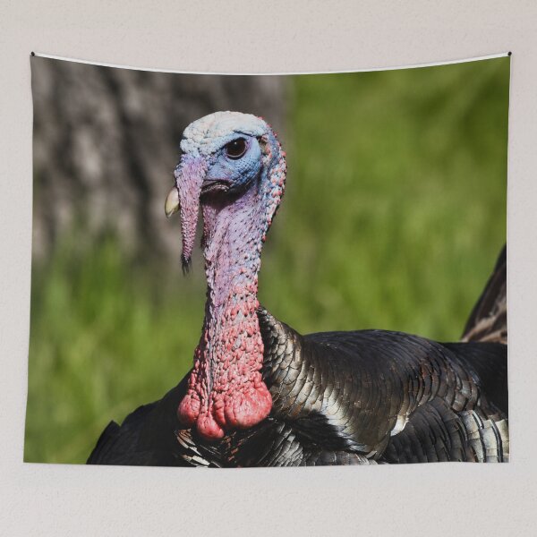 Item preview, Wild Majesty designed and sold by Kimberly Palmer.