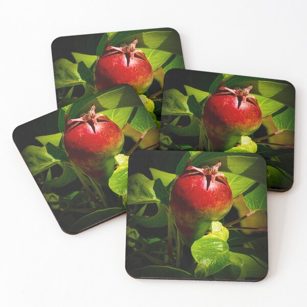 Item preview, How You Like Them Apples? designed and sold by Steve Walser.
