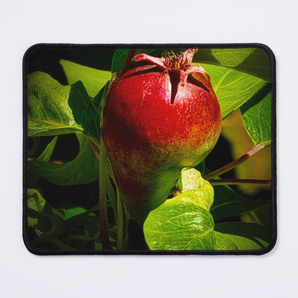 Item preview, How You Like Them Apples? designed and sold by Steve Walser.