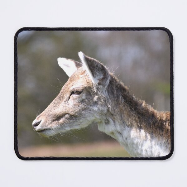 Item preview, Deer Headshot designed and sold by megjayne-photos.