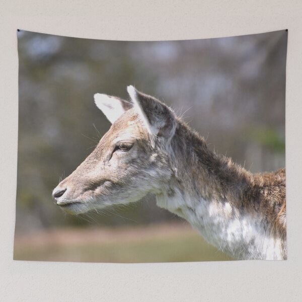 Item preview, Deer Headshot designed and sold by megjayne-photos.