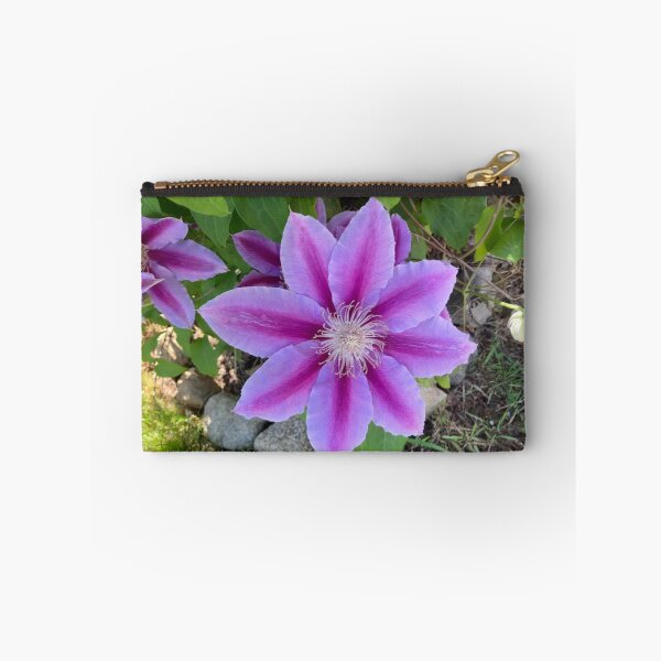 Item preview, Clematis designed and sold by Amanda1775.