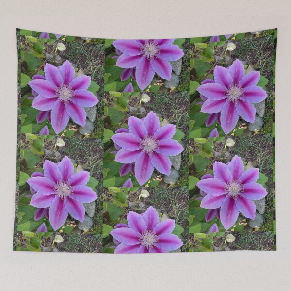 Item preview, Clematis designed and sold by Amanda1775.
