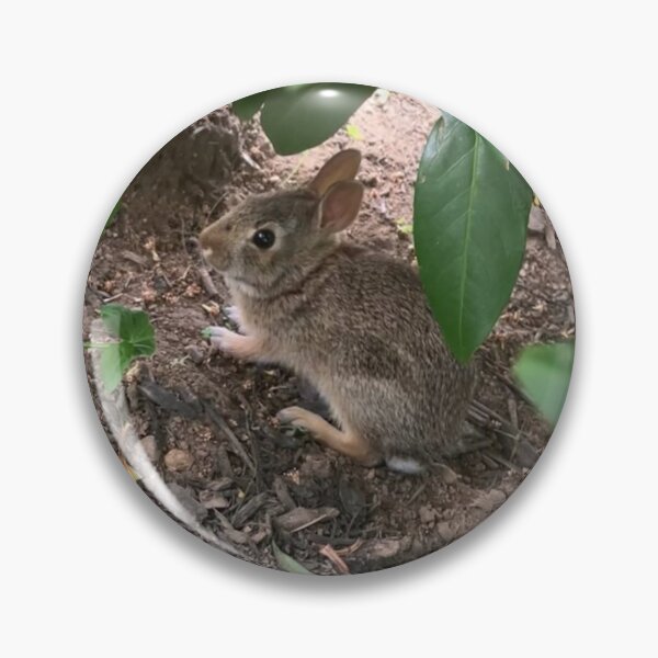 Item preview, Cute Baby Bunny  designed and sold by Amanda1775.