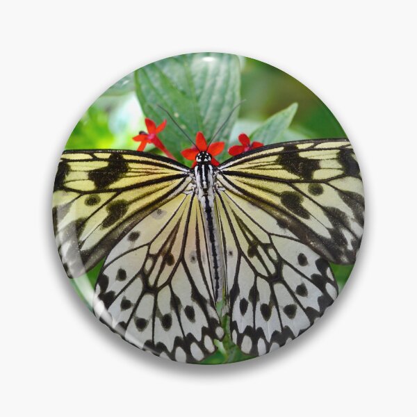 Item preview, Rice Paper Butterfly on a Plant designed and sold by richardbryce.