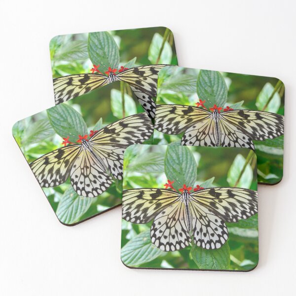 Item preview, Rice Paper Butterfly on a Plant designed and sold by richardbryce.