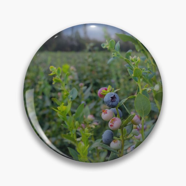 Item preview, Blueberry field designed and sold by arailustrada.