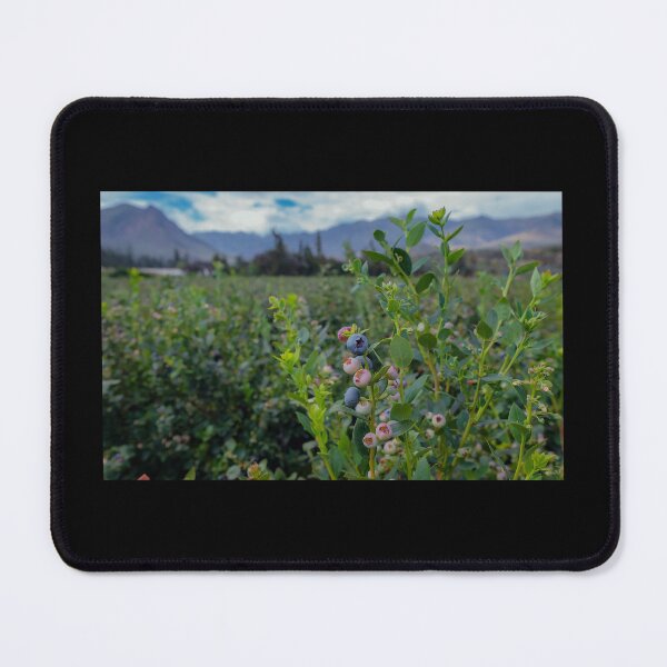 Item preview, Blueberry field designed and sold by arailustrada.