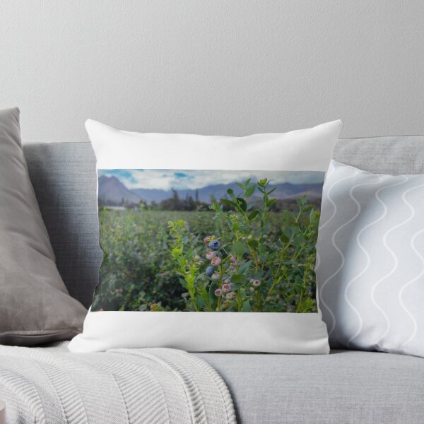 Item preview, Blueberry field designed and sold by arailustrada.