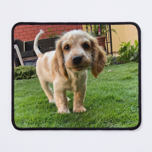 Item preview, Gus designed and sold by arailustrada.