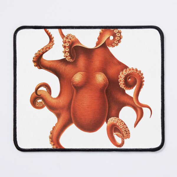 Item preview, Polypus levis Hoyle designed and sold by SOFT CHAOS CREATURE SHOP.