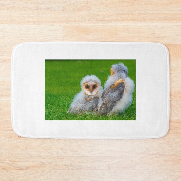 Item preview, Barn owlets designed and sold by mohawkphotography.