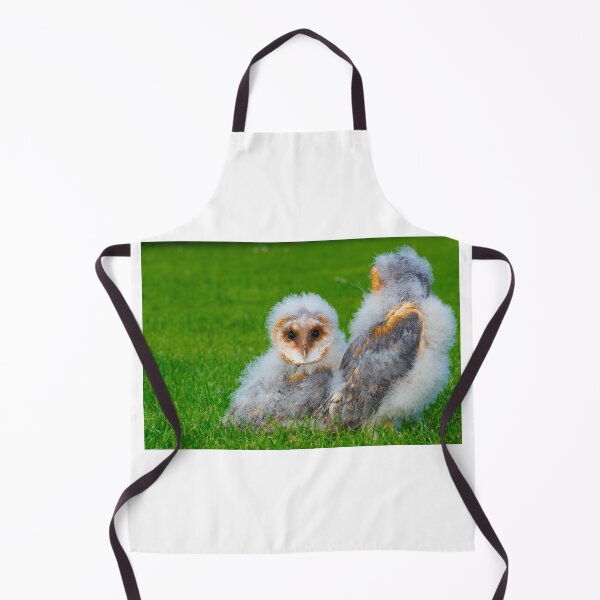 Item preview, Barn owlets designed and sold by mohawkphotography.