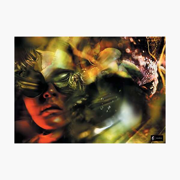 Natural Vibe /// Photographic Print