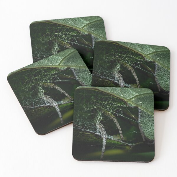 Item preview, Hidden in Plain Sight — Spider Leaf Nest Macro designed and sold by Rabee Khalil Photography.