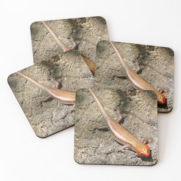 Item preview, Broad headed skink designed and sold by Parks and X.