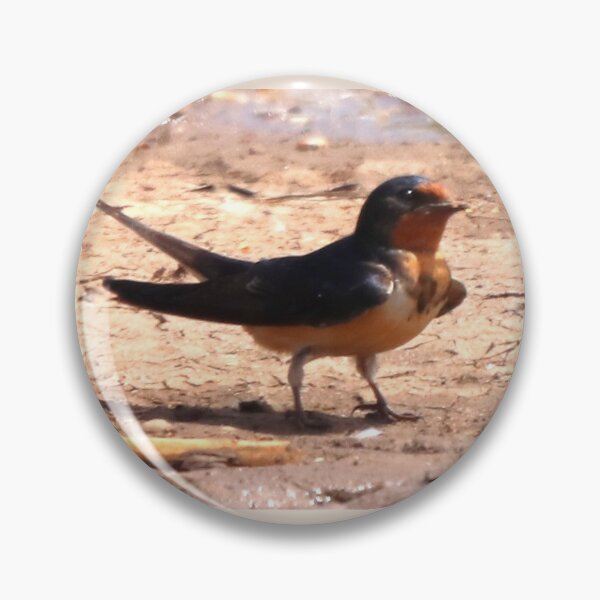 Item preview, Cute little Barn Swallow out for a Walk designed and sold by Judy Geller.