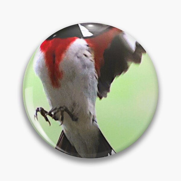 Item preview, A Rose-breasted Grosbeak coming in for a Landing! designed and sold by Judy Geller.
