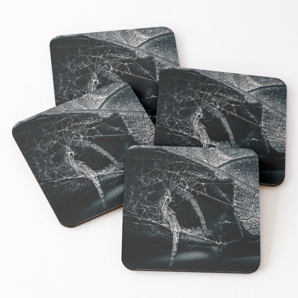 Item preview, The Lair — Spider Leaf Nest in Black and White designed and sold by Rabee Khalil Photography.