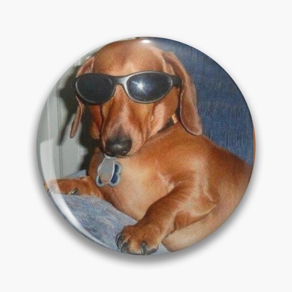 Item preview, Dachshund wearing sunglasses on a couch designed and sold by Porsch2003.