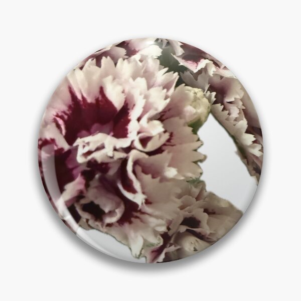 Item preview, Frilly Bicolor Carnations Isolated on White designed and sold by BalkanBloom.