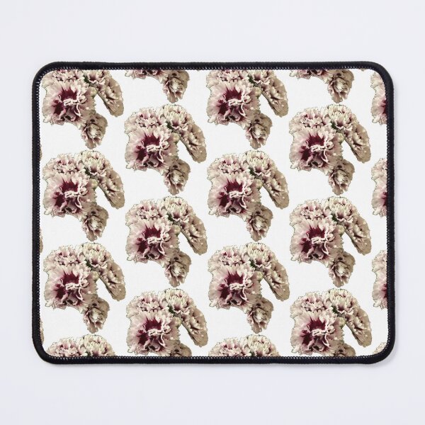 Item preview, Frilly Bicolor Carnations Isolated on White designed and sold by BalkanBloom.