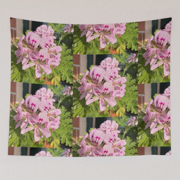 Item preview, Delicate Clusters of Pink Pelargonium designed and sold by BalkanBloom.