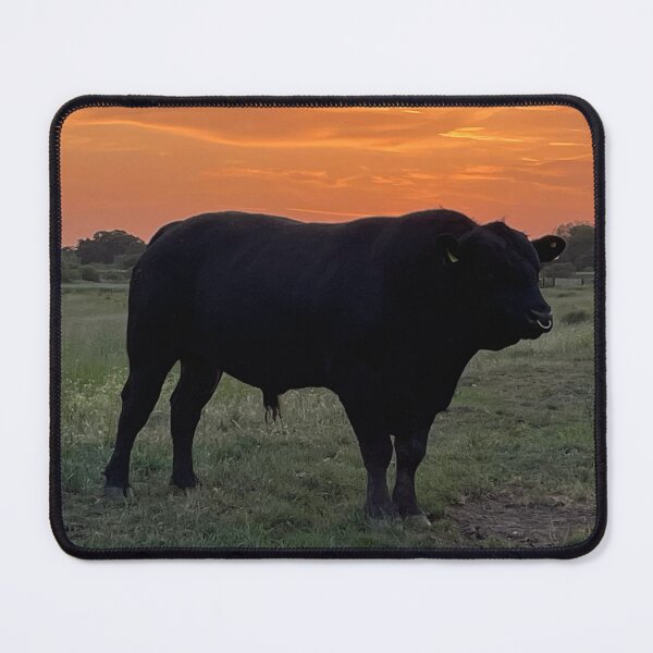 Item preview, Angus the Bull designed and sold by paulwatson1966.