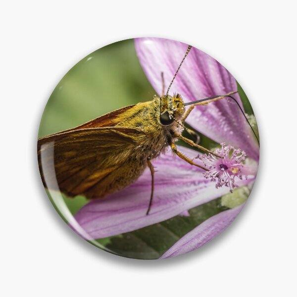 Item preview, Skipper on a Mallow — Butterfly Macro Portrait designed and sold by Rabee Khalil Photography.